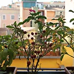 Bed & Breakfast Magenta Pantheon Navona Roma