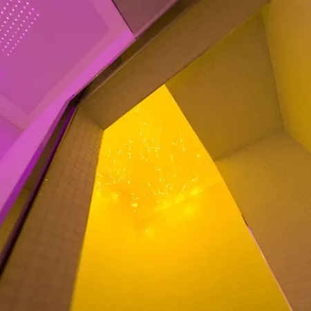 Magenta Pantheon Navona רומא