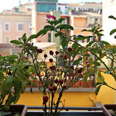 Bed & Breakfast Magenta Pantheon Navona Rome