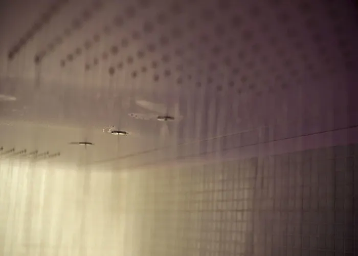 Magenta Pantheon Navona Отель типа 