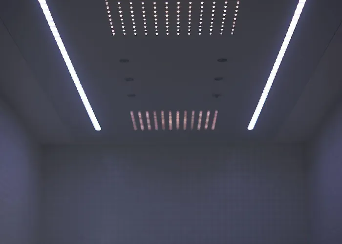 Magenta Pantheon Navona